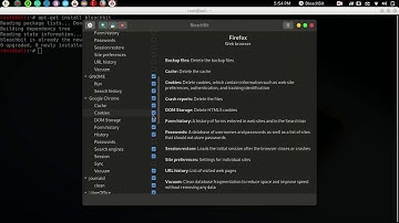 How to clean linux using bleachbit | Kali Linux