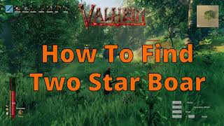 How To Find Two Star Boar