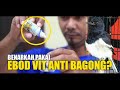 Benarkah Ebod Vit Anti Bagong Mp3 - Mp4 Download