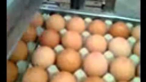 Ci Series Printer.wmv