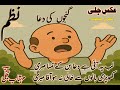 نظم نظم