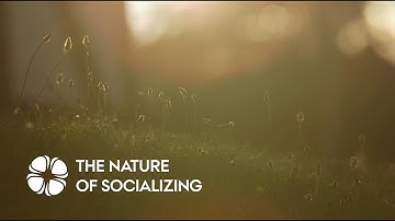 The nature of socializing: IBO-participants meet, connect and integrate