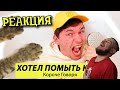 РЕБОРН СМОТРИТ ► КОРОЧЕ ГОВОРЯ, Я ХОТЕЛ ПОМЫТЬ КОТА ► РЕАКЦИЯ НА ТИМ ТИМ