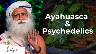 Sadhguru on Ayahuasca & Psychedelic Drugs