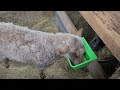 Being Ewethful Episode 4
