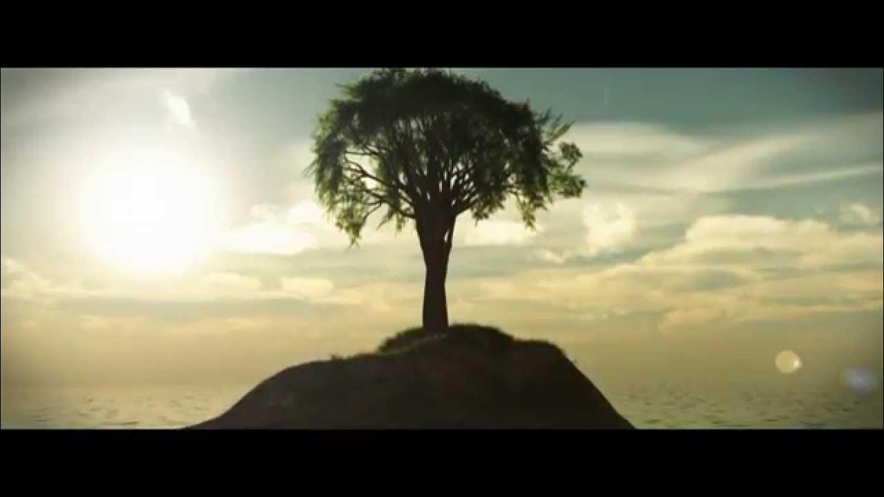 Time Lapse Tree Growing YouTube