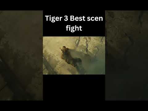 Tiger 3 Best scen fight
