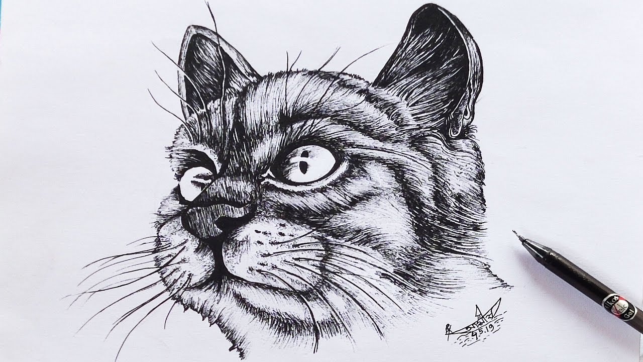 How To Draw A Black Cat Using Black Gel Pen Step By Step How To Use Gel Pen Drawing Tutorial Youtube