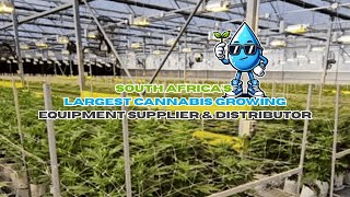SOUTH AFRICA'S LARGEST CANNABIS GROWING EQUIPMENT SUPPLIER AND DISTRIBUTOR - WE ONLY GETTING STARTED