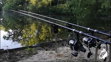 Carp Run COMPILATION 2020! PART 22!