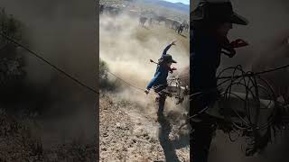 That Went Sideways Fast