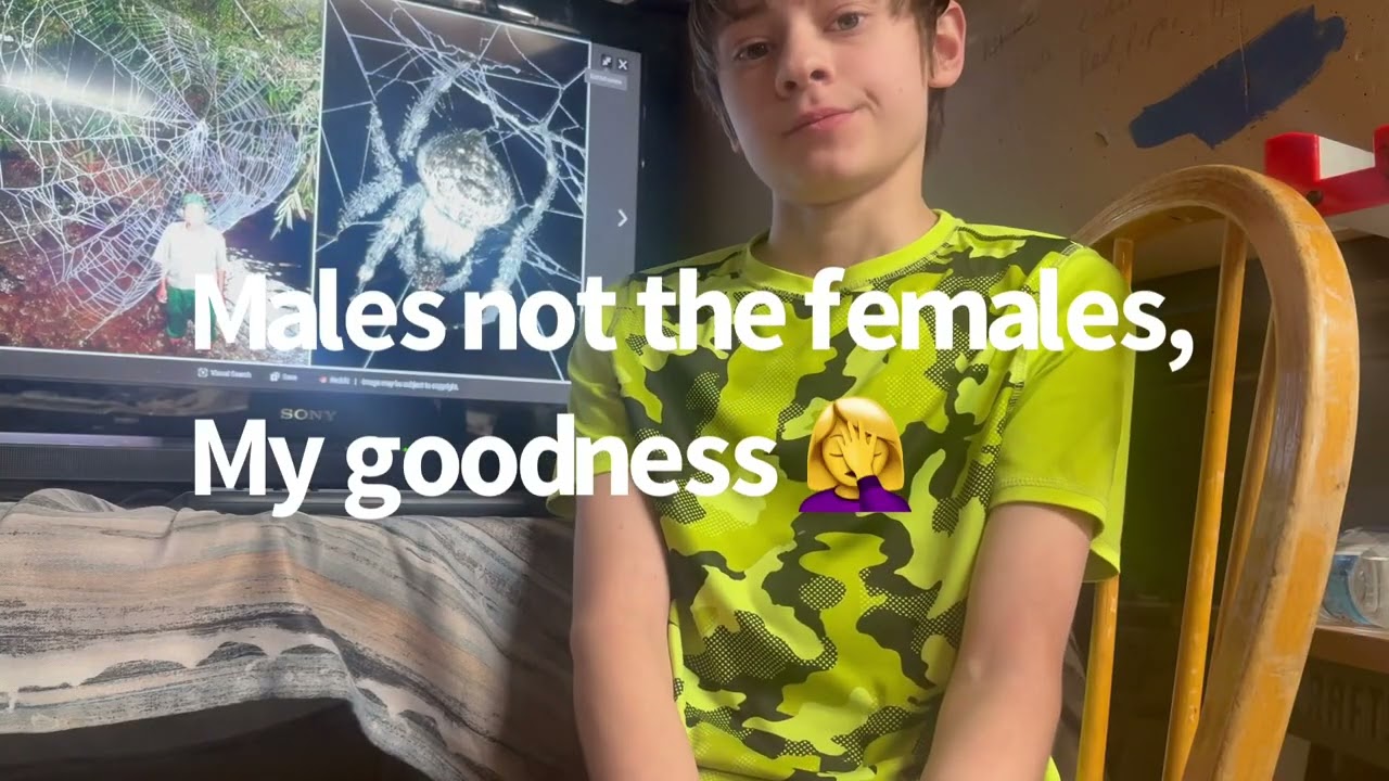 The Darwin bark spider teaching ￼🤯🕸️🕷️