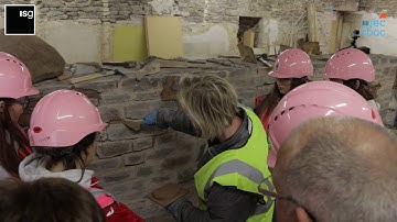 Lime Mortar Pointing