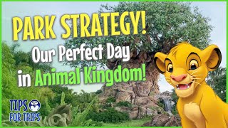 Helpful Tips and PARK STRATEGY for ANIMAL KINGDOM PARK--WITHOUT Genie+! Our Perfect Day! 2023