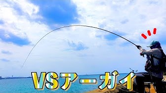 沖縄釣り Youtube