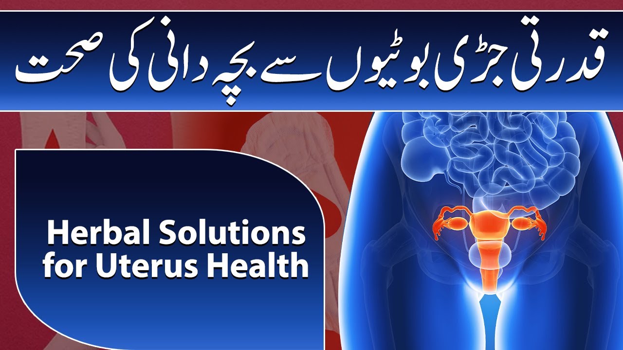 Natural Herbal Solutions for Uterus Health | Health Tips | Pakistan Life