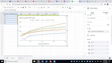 Enzyme Lab Graph Explanation