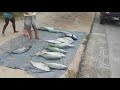 Сейшелы Жизнь на Островах Рыбный Рынок