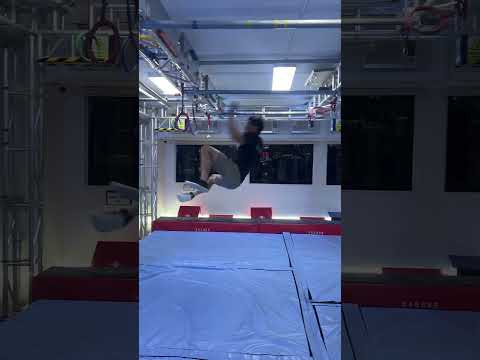 Fly With Dgs Bat Ninjawarrior