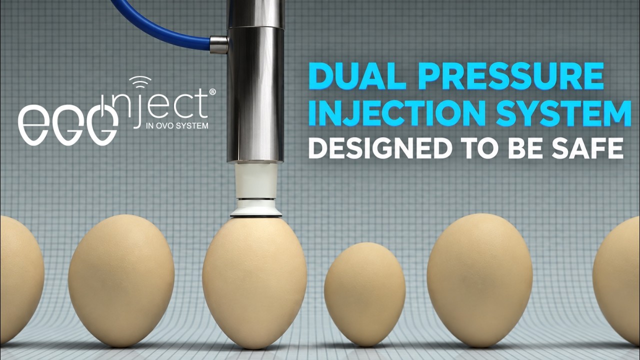 Egginject Dual pressure injection system - YouTube
