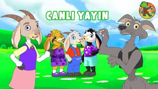 Türkçe - Çizgi Film Çocuk Masalları - Canli Yayin Kondosan