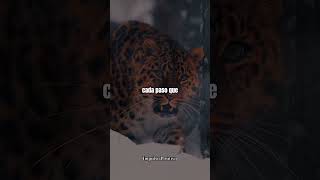 Asume la responsabilidad #reflexion #motivacion #frasesdereflexion