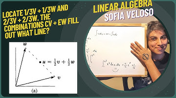1.1.17 Locate 1/3v + 1/3w and 2/3v + 2/3w. The combinations cv + dw fill out what line?