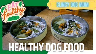 Homemade Healthy Dog Food for Maltese and Shih Tzu