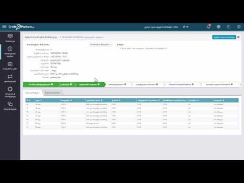 5. აუდიტის პერიოდი