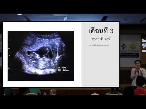 วีดีโอ: ทารกในครรภ์มีพฤติกรรมอย่างไรใน 15 สัปดาห์