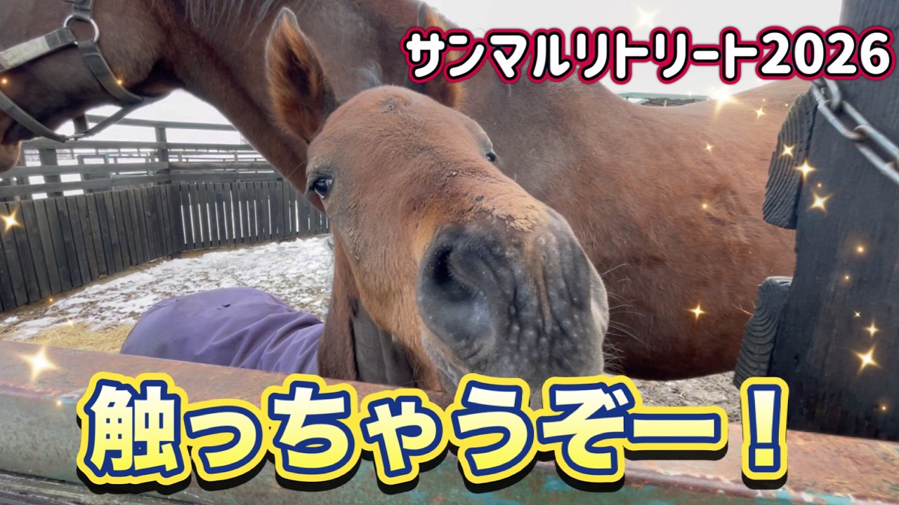 触っちゃうぞー！【当歳馬】