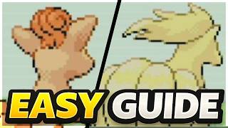 Vulpix &amp; Ninetales Evolution &amp; Location Guide – Pokémon FireRed &amp; LeafGreen 🔥