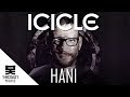 Icicle - Hani