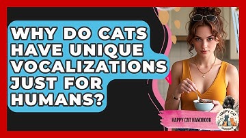 Why Do Cats Have Unique Vocalizations Just For Humans? - Happy Cat Handbook