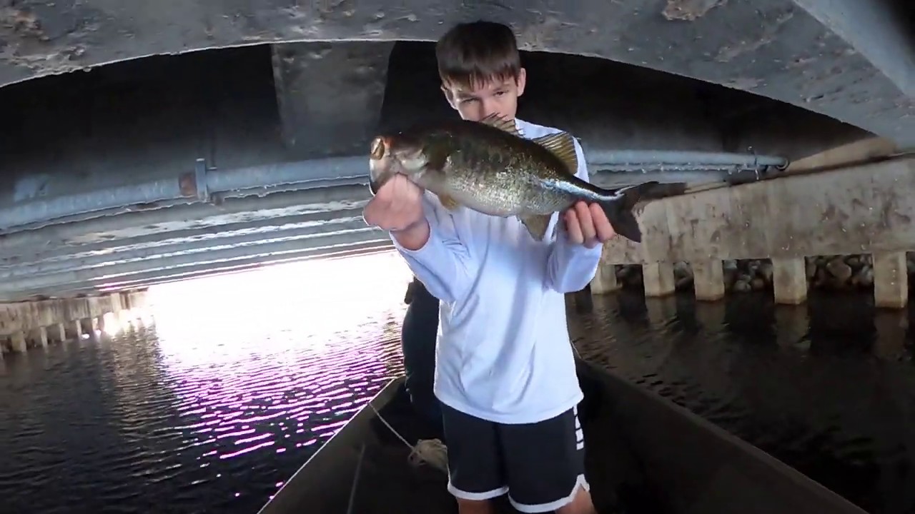 Fishing in Boca Raton/Delray Beach canals - YouTube