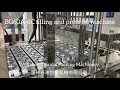 6000cups per hour automatic  Mayonnaise cheese butter cup filling capping machine