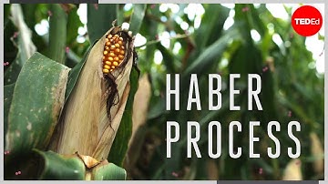 The chemical reaction that feeds the world - Daniel D. Dulek