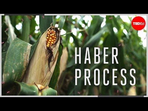 Video: Prečo Fritz Haber vyvinul Haberov proces?