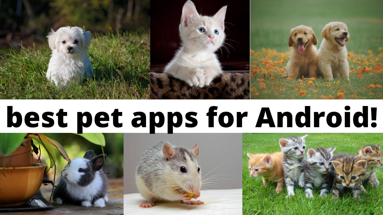 Top 5 Best Pet Apps For Android! YouTube
