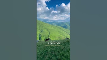 قرآن كريم بصوت الشيخ محمد اللحيدان #قرآن #دويتو #اكسبلور #تيك_توك #لايك #سناب_شات #راحة_نفسية #ترند