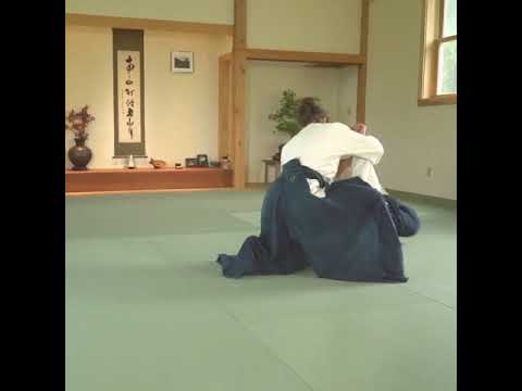 Heidi Albright of Cloud Mountain Aikido