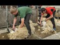 Amazing wool processing