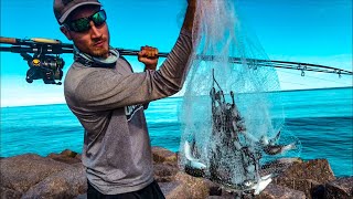 Jetty fishing - things are happening...