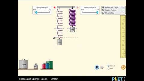 Masses and Springs: Basics - Stretch