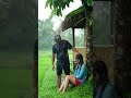 Natural Heavy Rain #rainoundforsleep #travel #relax #nature #rain #calmatmosphere #sleepsounds
