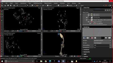 Tutorial   03   Exporting With Vgstudiomax part 2