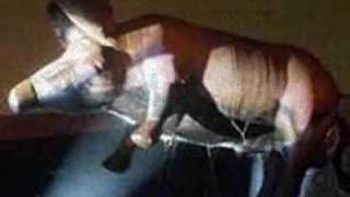 Video thumbnail of "pink floyd Pig on the wing"