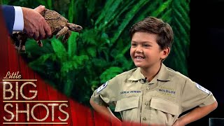 Meet Australia's Fearless 6YearOld Reptile Ranger