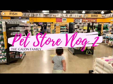 Our FIRST Family Pet | Petbarn | The GaLon Family