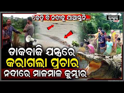 ଡାକବାଜି ଯନ୍ତ୍ରରେ କରାଗଲା ପ୍ରଚାର... ବନ୍ୟାପାଣିରେ ନଦୀକୁ ପଶିଆସିଲେ ମାଳମାଳ କୁମ୍ଭୀର, କେହି ବି ନଦୀକୁ ଯାଅନି...